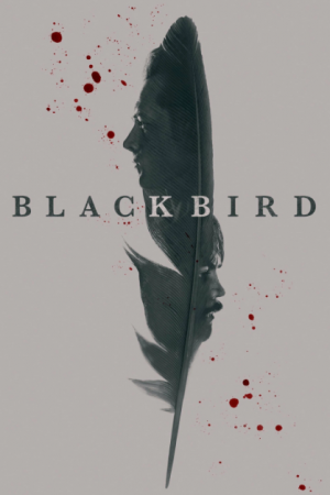 Черная птица (1 сезон)